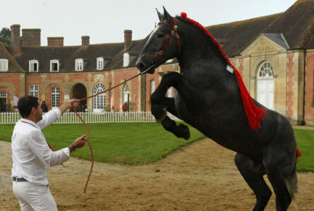 Looping d’Arzembouy