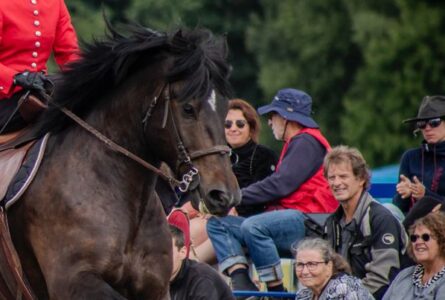 Habanos des Prairies