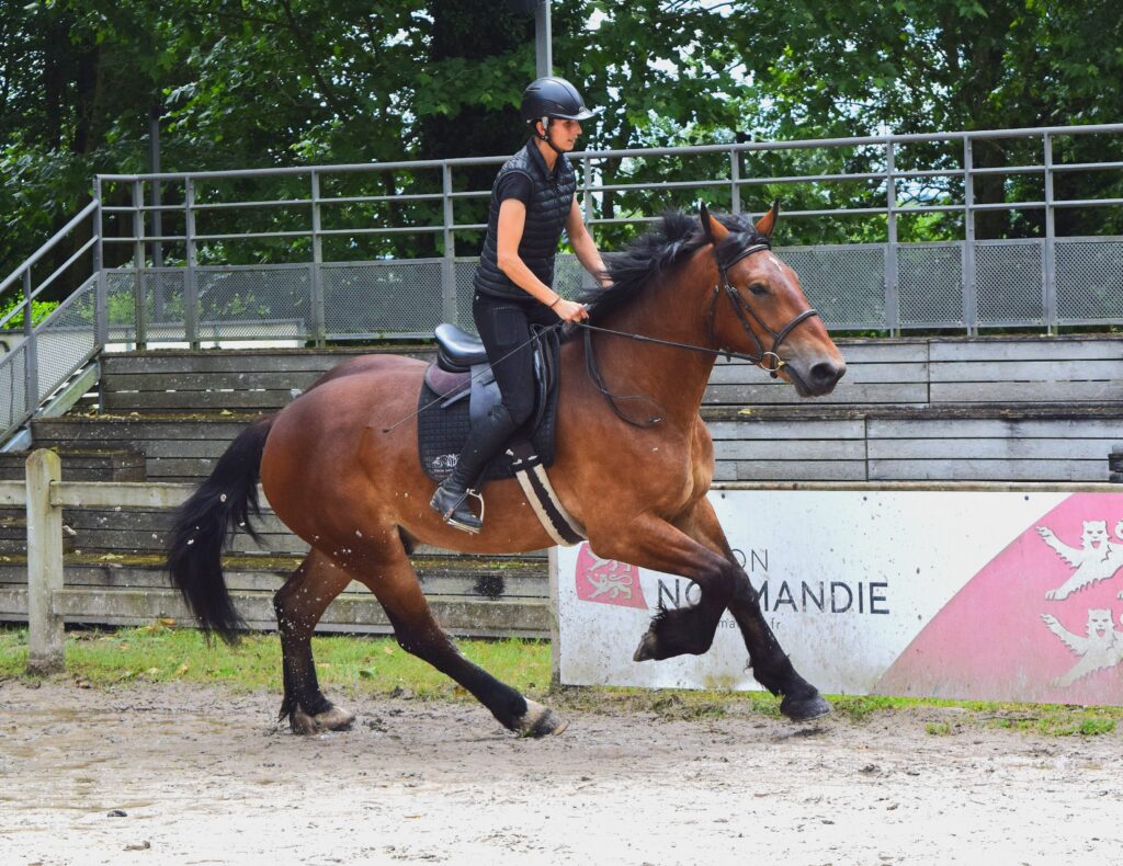 Novak des Roches, Juin 2026