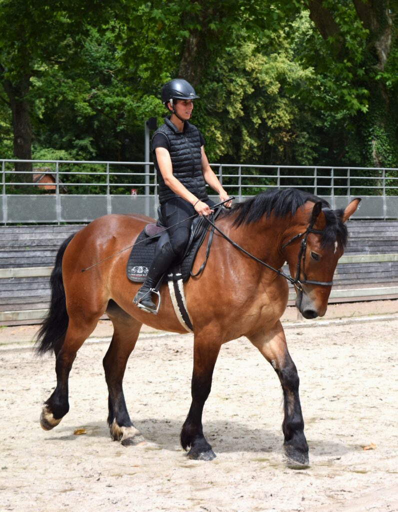 Novak des Roches, Juin 2026